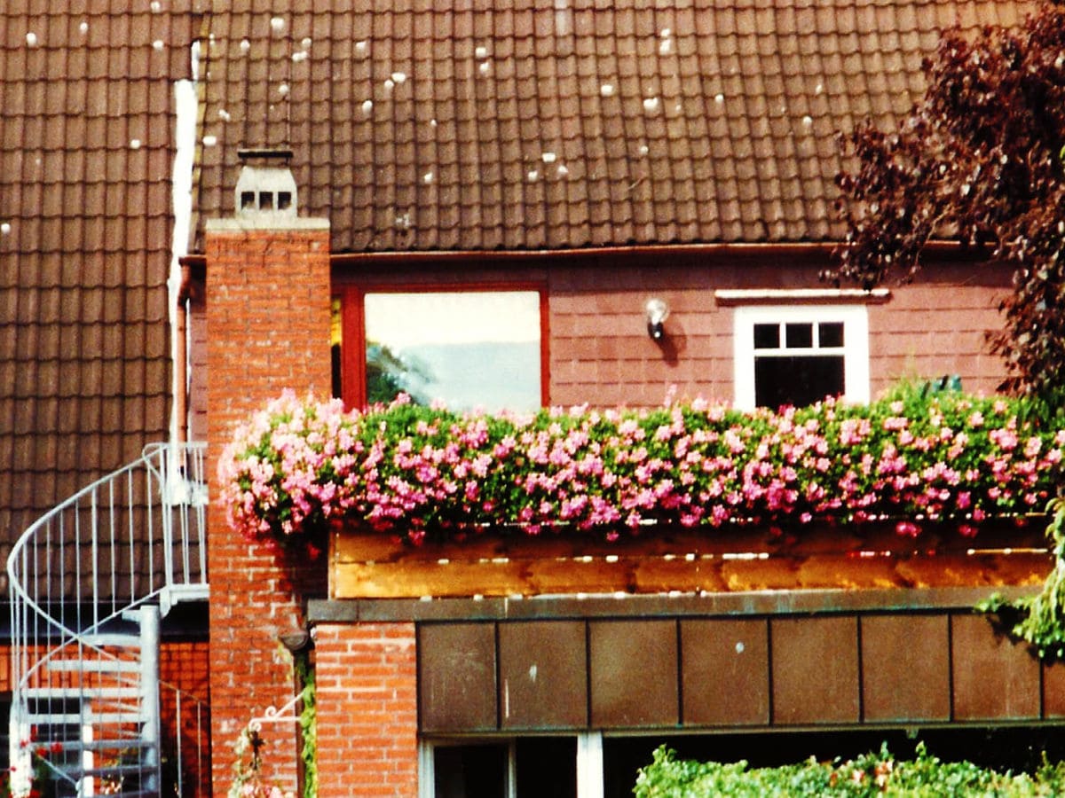 Die Ferienwohnung in Lübeck - Aufgang/Terrasse