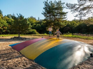 Ferienhaus Ruinen Außenaufnahme 14