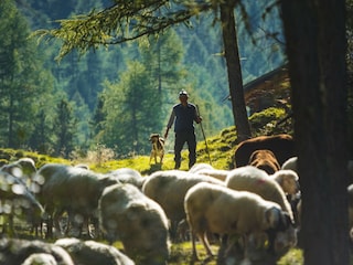 Holiday apartment Latsch Environment 26