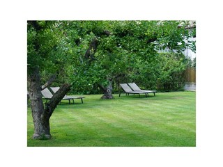 Vakantieappartement Latsch Omgeving 18