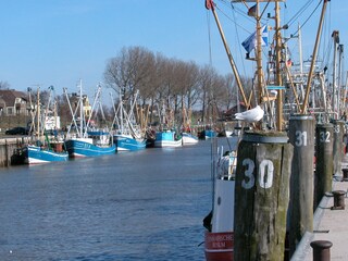 Hafen Büsum