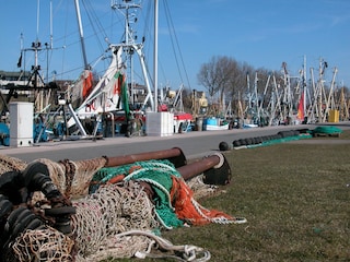 Hafen Büsum