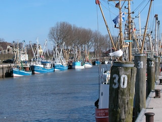 Hafen Büsum