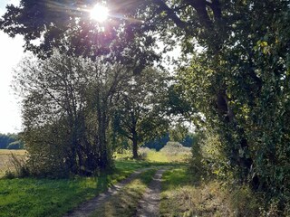 Zahlreiche Wanderwege