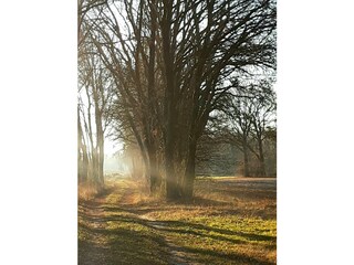 Herbst