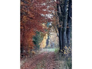Herbst