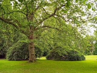 Casa de vacaciones Tønder Grabación al aire libre 5