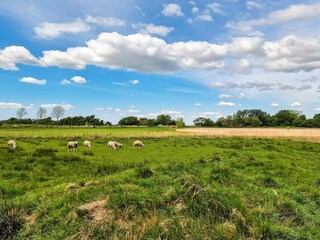 Maison de vacances Tønder Enregistrement extérieur 8