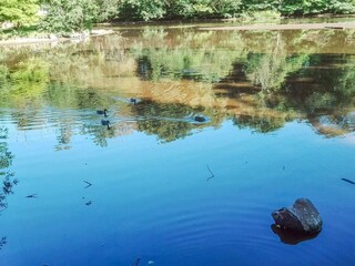 Maison de vacances Tønder  29