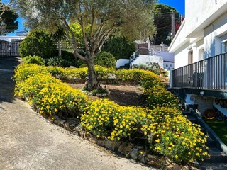 Chalet Calella Außenaufnahme 11