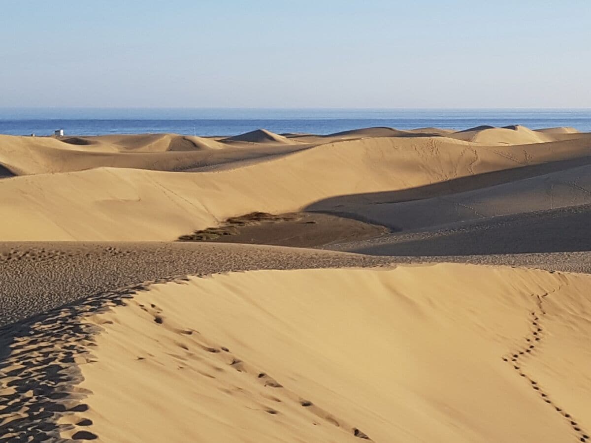 Dünen von Maspalomas