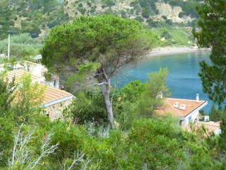 Parco vacanze Rio nell'Elba Ambiente 33