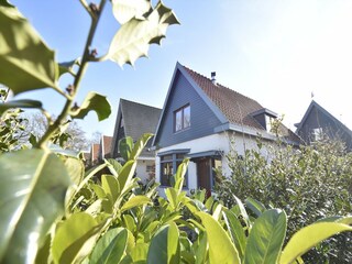 Holiday house Bergen (Holland) Outdoor Recording 2