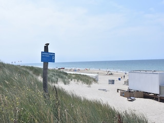 Maison de vacances Bergen (Holland) Environnement 23