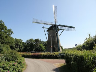 Maison de vacances Bergen (Holland) Environnement 24