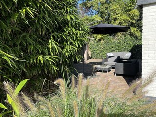 Ferienhaus Bergen (Holland) Außenaufnahme 18