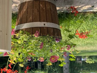 Holiday house Wedde Outdoor Recording 30