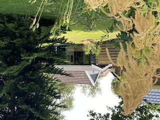 Holiday house Wedde Environment 49