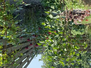Holiday house Wedde Environment 56