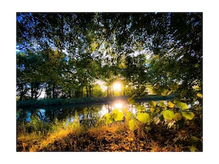 Holiday house Wedde Environment 52