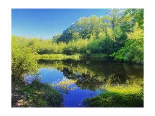 Holiday house Wedde Outdoor Recording 56