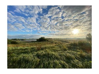 Holiday house Wedde Outdoor Recording 57