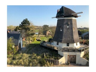 Ferienhaus Egmond aan den Hoef Außenaufnahme 36
