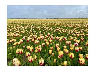 Holiday house Egmond aan den Hoef Outdoor Recording 49