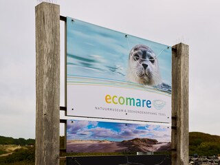 Apartment Den Burg Outdoor Recording 23