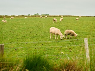 Apartment Den Burg Outdoor Recording 25