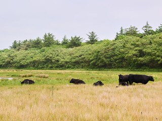 Apartment Den Burg Outdoor Recording 31