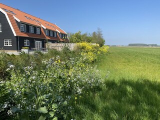 Ferienhaus Oudeschild Außenaufnahme 2