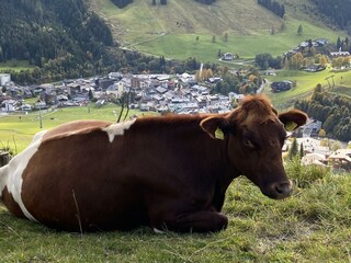 Ferienhaus Saalbach Außenaufnahme 33