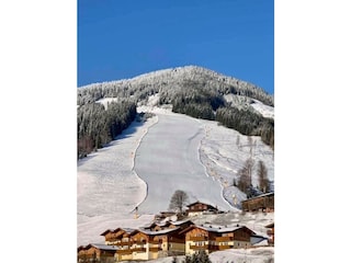 Ferienhaus Saalbach Umgebung 35