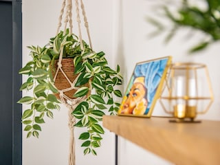 Ferienhaus Jan Thiel Außenaufnahme 8