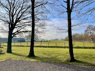 Ferienhaus Den Ham Außenaufnahme 35