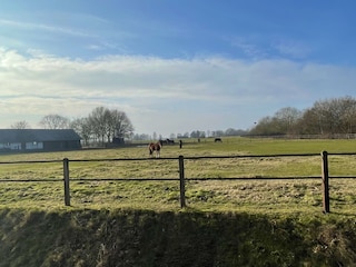 Ferienhaus Den Ham Umgebung 37