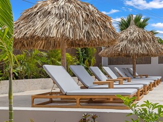 Ferienhaus Jan Thiel Außenaufnahme 20