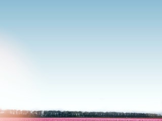 Ferienhaus Egmond aan den Hoef Außenaufnahme 29