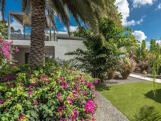 Villa Jan Thiel Außenaufnahme 25