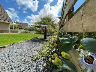 Ferienhaus Sint Maarten Außenaufnahme 6