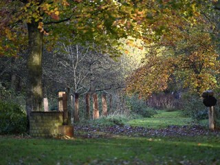 Ferienhaus Hoge Hexel Außenaufnahme 49