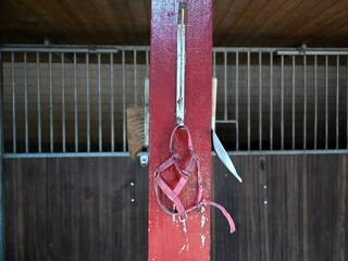 Ferienhaus Hoge Hexel Außenaufnahme 51