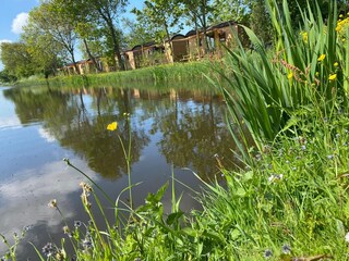 Holiday house Petten Outdoor Recording 2