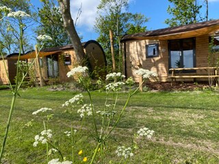 Holiday house Petten Outdoor Recording 3