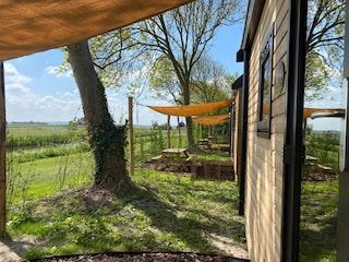 Ferienhaus Petten Außenaufnahme 5