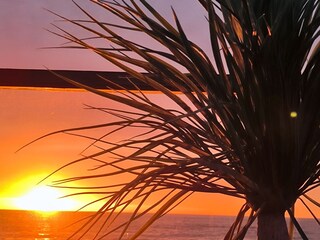 Ferienhaus Petten Außenaufnahme 18