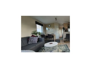 Ferienhaus Petten Außenaufnahme 11