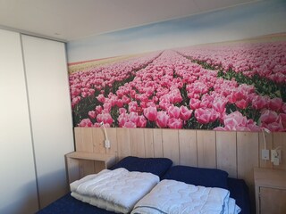 Holiday house Petten Outdoor Recording 4