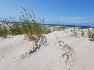 Holiday house Petten Outdoor Recording 10